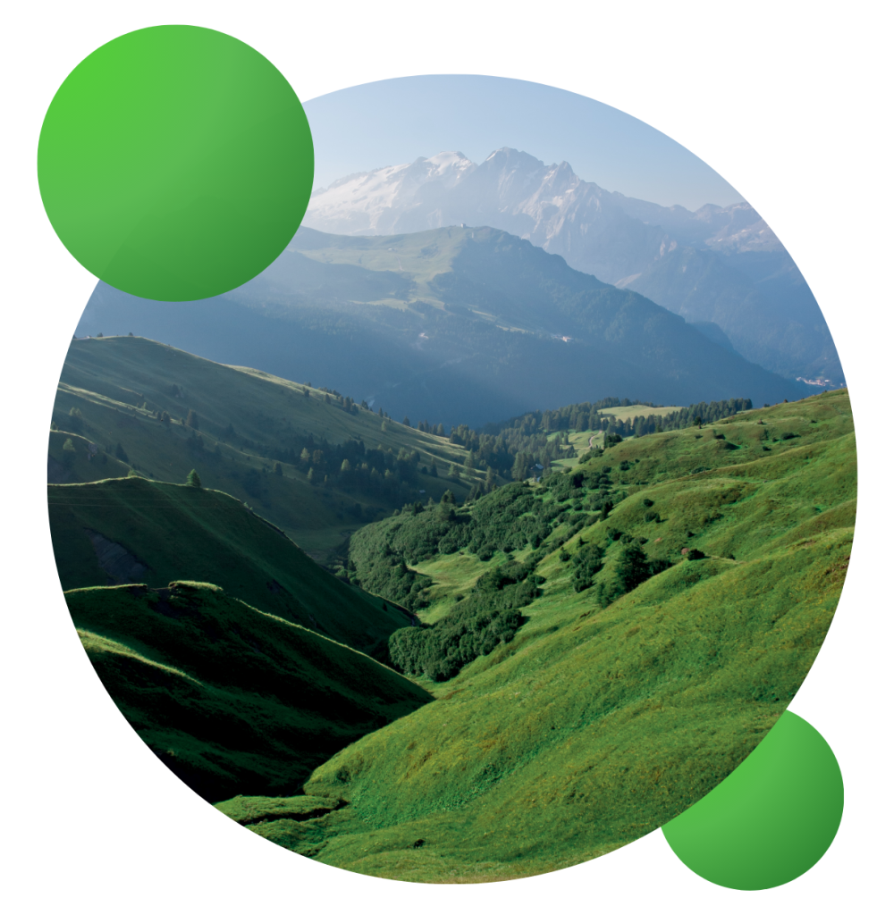 Website Graphics (44)